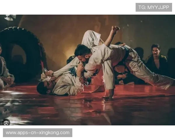 MMA三角锁瞬间结束战斗 MMA三角锁瞬间结束战斗