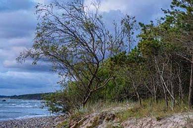 2024年中国辉煌足迹广场舞大赛全面启动，2020中国广场舞公开赛