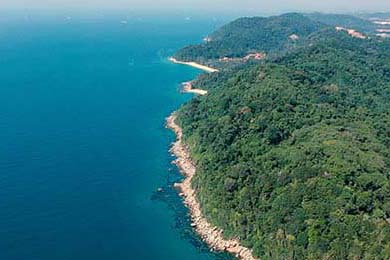 APEX英雄 新版本平衡性获得好评，apex第十赛季平衡